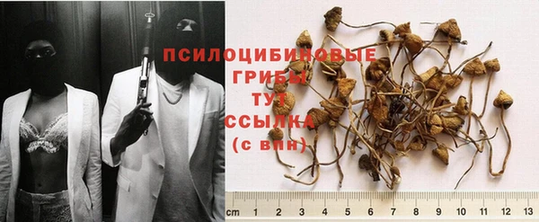 трава Горняк